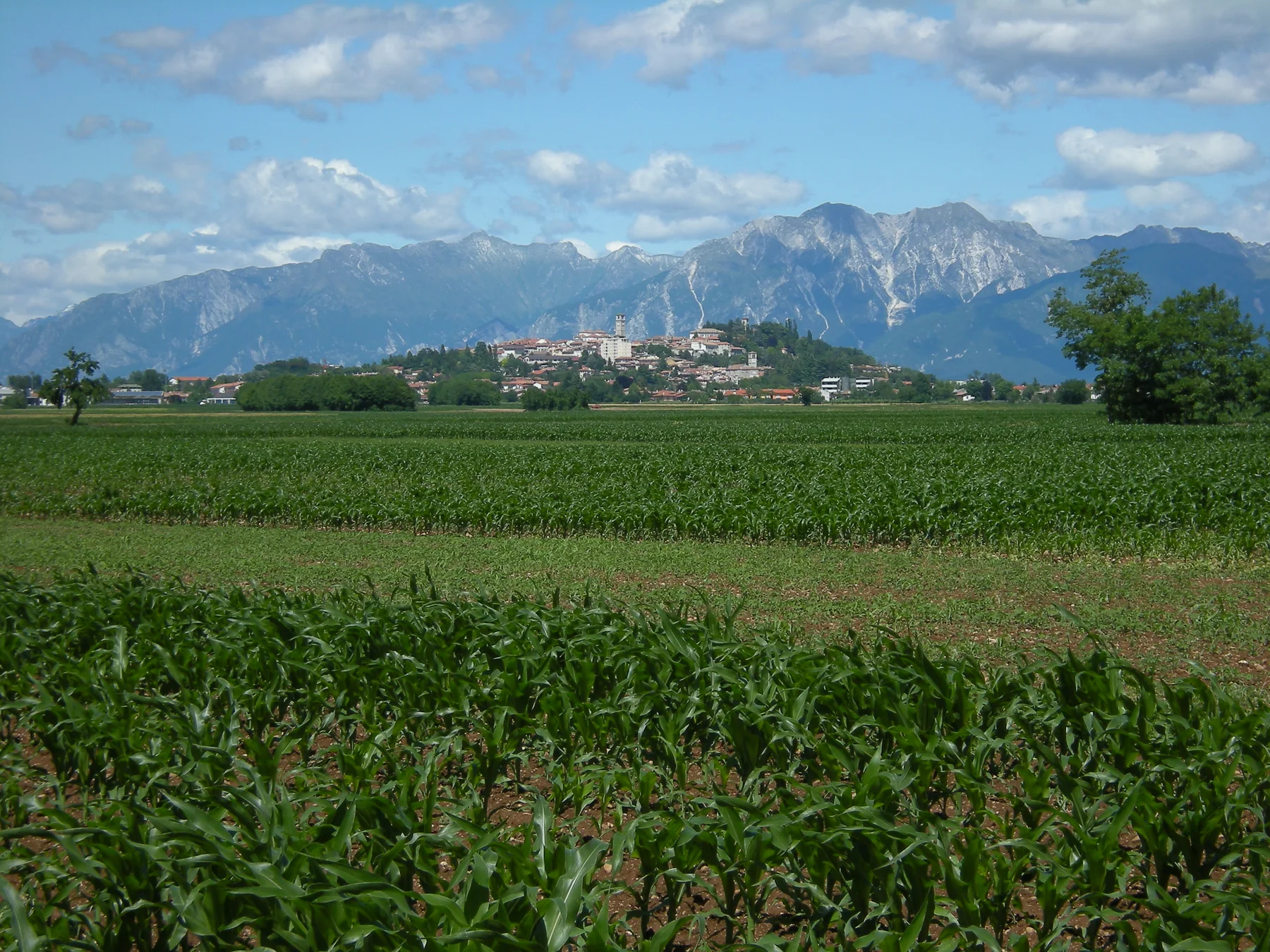 San Daniele del Friuli vista da Villanova, tra campi e montagne